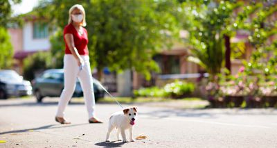 Kennel Club issues advice for dog owners as restrictions continue to lift